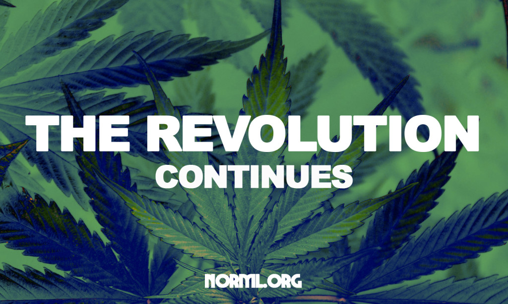 NC NORML Facebook Group