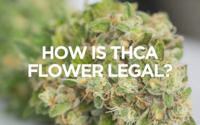 What is THCa? Unveiling the Precursor to THC